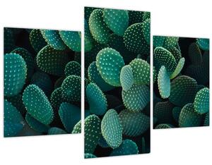 Kép - Opuntia (90x60 cm)