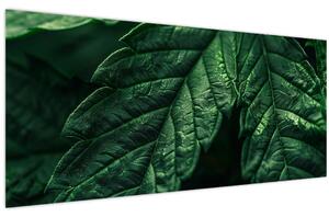 Kép - A lap részletei (120x50 cm)