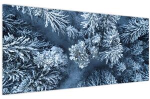 Kép - Havas erdő (120x50 cm)