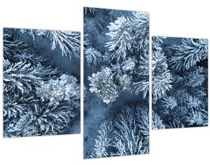 Kép - Havas erdő (90x60 cm)