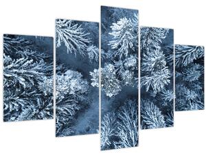 Kép - Havas erdő (150x105 cm)