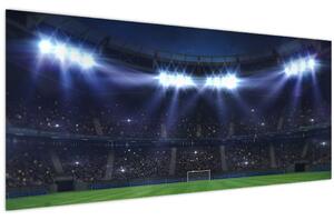 Kép - Labdarúgó stadion (120x50 cm)