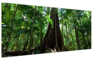 Kép - A fa gyökerei (120x50 cm)