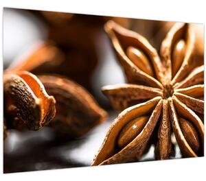 Kép - Anise (90x60 cm)