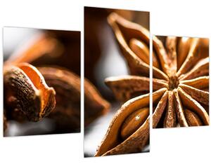 Kép - Anise (90x60 cm)