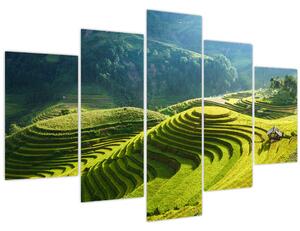 Kép - Rice Terraces koncert (150x105 cm)