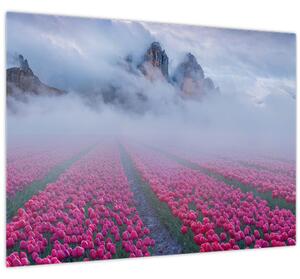 Kép - Tájkép tulipánmezőkkel (70x50 cm)