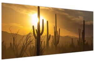 Kép - Saguaro kaktuszok (120x50 cm)