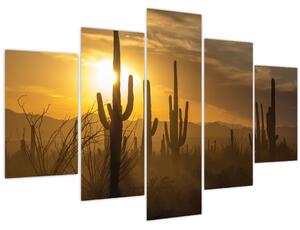 Kép - Saguaro kaktuszok (150x105 cm)