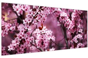 Kép - Rózsaszín sakura (120x50 cm)