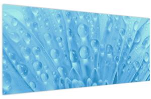 Kép - Makro felvétel egy virágról (120x50 cm)