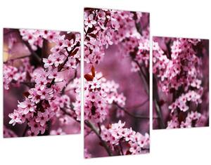 Kép - Rózsaszín sakura (90x60 cm)