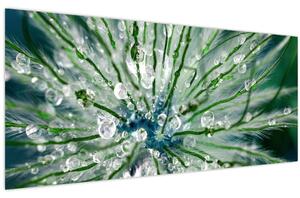 Kép - Makro kép egy virágról (120x50 cm)
