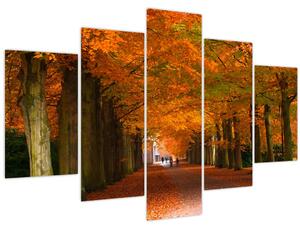 Kép - A Avenue of fák ősszel (150x105 cm)