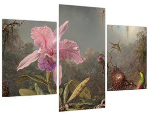 Kép - Martin Johnson Heade, Cattleya Orchid and Three Hummingbirds, reprodukciók (90x60 cm)