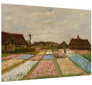 Kép - Vincent van Gogh, Flower Beds in Holland, reprodukciók (70x50 cm)