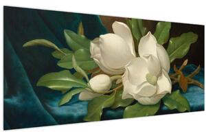 Kép - Martin Johnson Heade, Giant Magnolias on a Blue Velvet Cloth, reprodukciók (120x50 cm)
