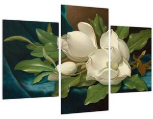 Kép - Martin Johnson Heade, Giant Magnolias on a Blue Velvet Cloth, reprodukciók (90x60 cm)