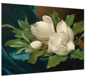 Üveg kép - Martin Johnson Heade, Giant Magnolias on a Blue Velvet Cloth, reprodukciók (70x50 cm)