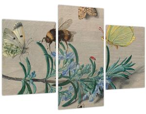 Kép - Jan van Kessel the Elder, Insects and a Sprig of Rosemary, reprodukciók (90x60 cm)