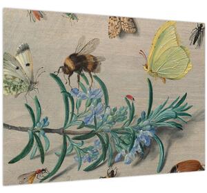 Kép - Jan van Kessel the Elder, Insects and a Sprig of Rosemary, reprodukciók (70x50 cm)