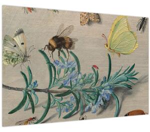 Kép - Jan van Kessel the Elder, Insects and a Sprig of Rosemary, reprodukciók (90x60 cm)
