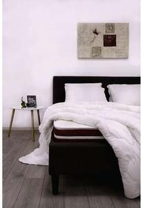 Best Sleep Diamond Red Plus Antibakteriális és Hipoallergén matrac, 65 x 185 cm