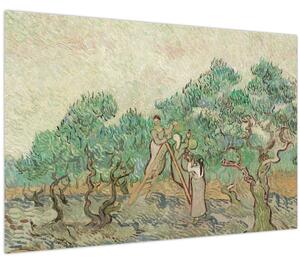 Kép - Vincent van Gogh, The Olive Orchard, reprodukciók (90x60 cm)