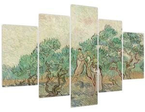 Kép - Vincent van Gogh, The Olive Orchard, reprodukciók (150x105 cm)
