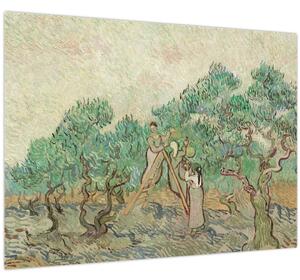 Kép - Vincent van Gogh, The Olive Orchard, reprodukciók (70x50 cm)