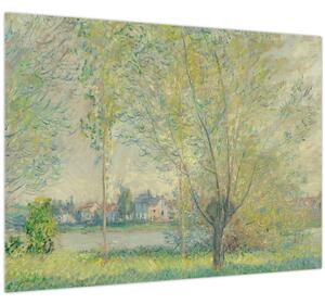 Kép - Claude Monet, The Willows, reprodukciók (70x50 cm)