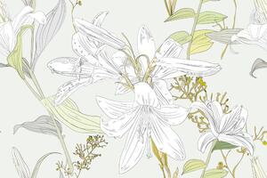 Tapéta rajzolt orchidea