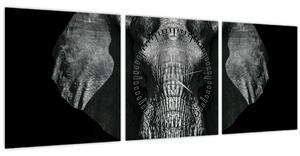 Kép - Elefánt fekete háttérrel (órával) (90x30 cm)