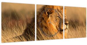 Kép - Etosha Nemzeti Park (órával) (90x30 cm)