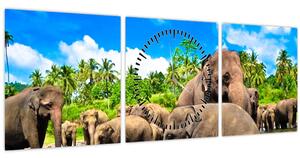 Kép - Elefántok, Sri Lanka (órával) (90x30 cm)