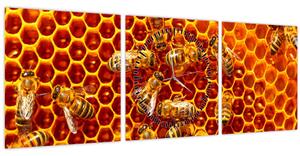 Kép - Méhsejtes (órával) (90x30 cm)