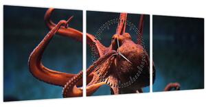Kép - Octopus (órával) (90x30 cm)