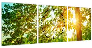 Kép - Sunny Forest (órával) (90x30 cm)
