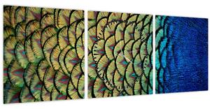 Kép - Pávatollak (órával) (90x30 cm)