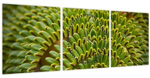 Kép - Fern (órával) (90x30 cm)