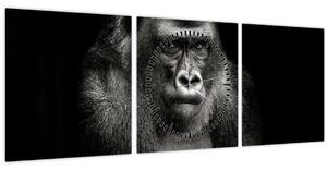 Kép - Gorilla (órával) (90x30 cm)