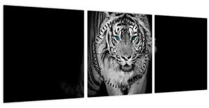 Kép - Tigris kék szemekkel (órával) (90x30 cm)