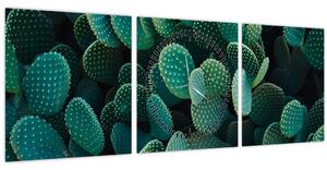 Kép - Opuntia (órával) (90x30 cm)