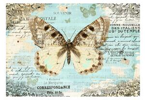 Fotótapéta - Postcard with butterfly