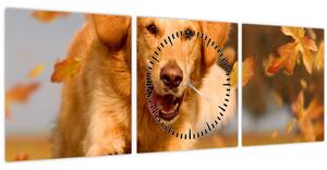 Kép - Golden Retriever (órával) (90x30 cm)