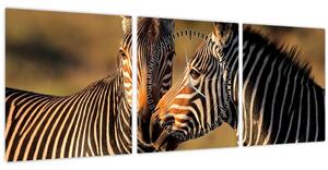 Kép - Két zebra (órával) (90x30 cm)