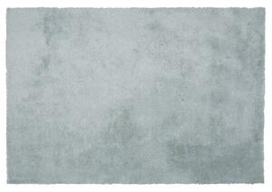 Hangulatos Hosszú Szőrű Mentazöld Szőnyeg 140 x 200 cm EVREN