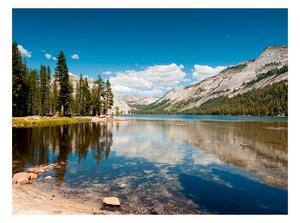 Fotótapéta - Tenaya Lake - Yosemite National Park