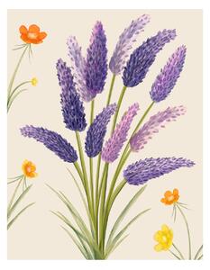 Illusztráció Purple flower, Bohonewart, (30 x 40 cm)