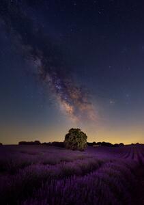 Művészeti fotózás Milky Way dreams, Carlos Hernandez Martinez, (26.7 x 40 cm)